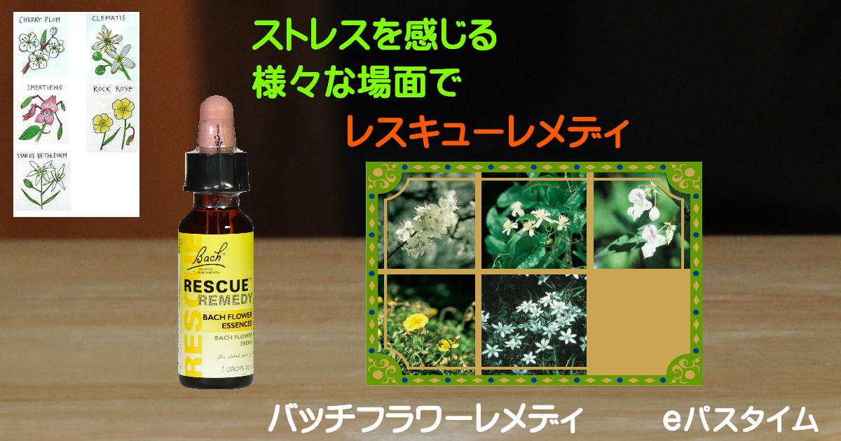 ウィロウ 20ml バッチフラワー フラワーエッセンス レメディ ネルソン