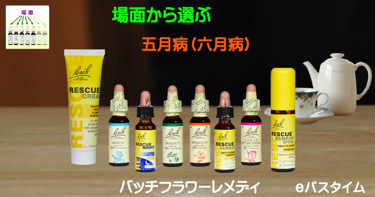 バッチフラワー×6 バッチフラワー×6 【公式通販】
