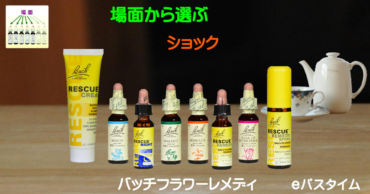 【予約品】トゥーザレスキュー『トラウマ、ショック、落ち着き』フラワーエッセンス 27.jpg