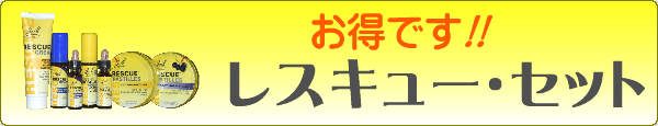 ���X�L���[�Z�b�g
