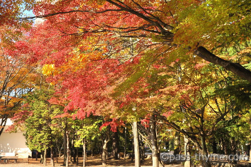 仙台:勾当台公園1