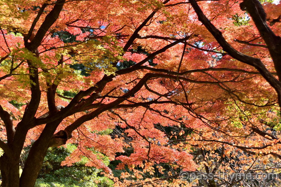 仙台:勾当台公園2