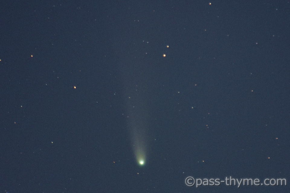 �������a���g��ʐ^�B�e��11��3��