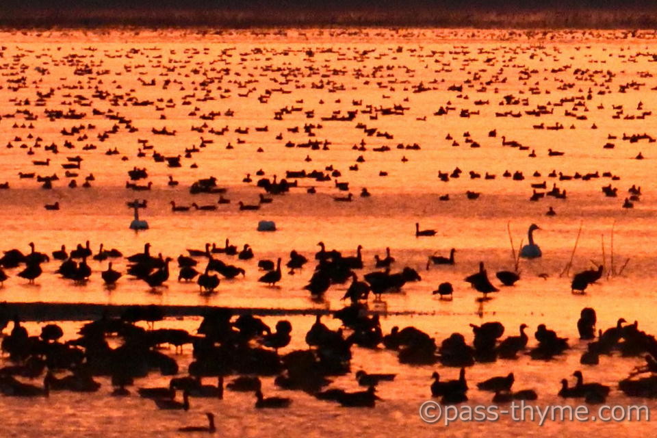 ��ї�����҂���