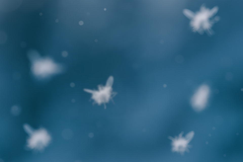 雪虫のイメージ