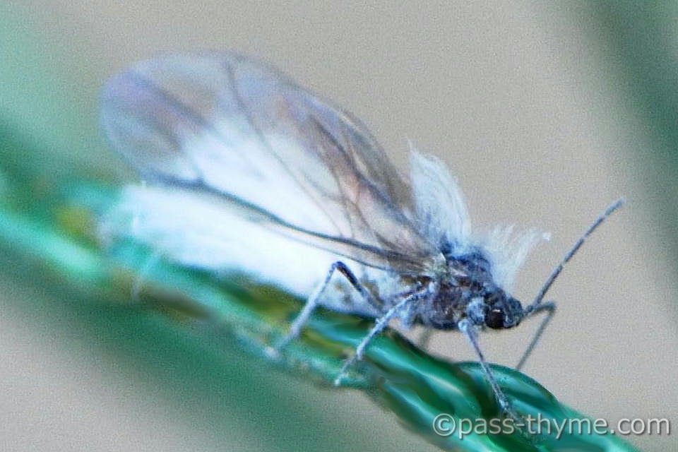 �ᒎ�̃A�b�v