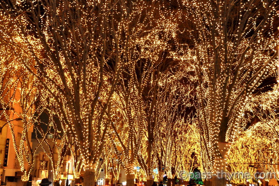 �����̃y�[�W�F���g