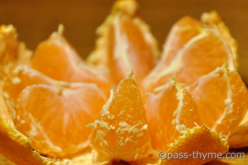 �ނ����݂���