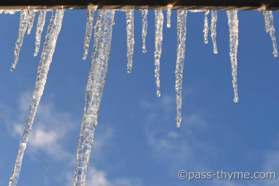 �����̂��