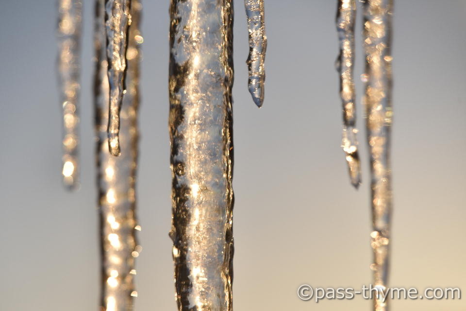 �����𗁂т����