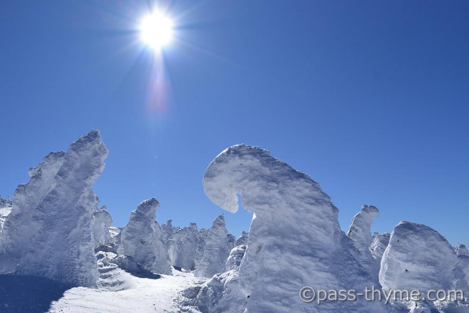 ���z�Ǝ��X