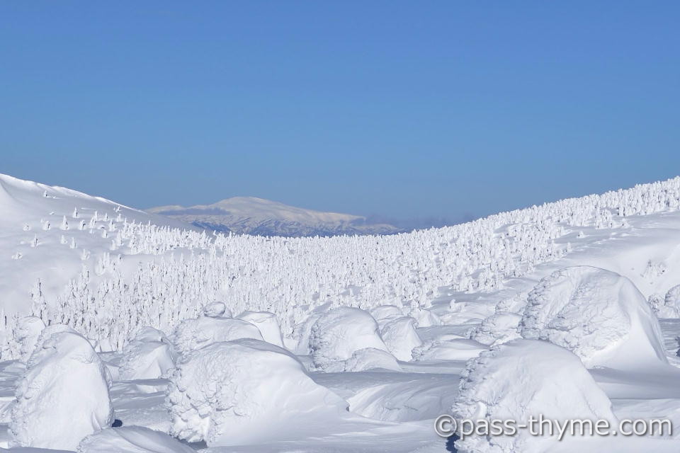 ���X���z���Ɍ������R